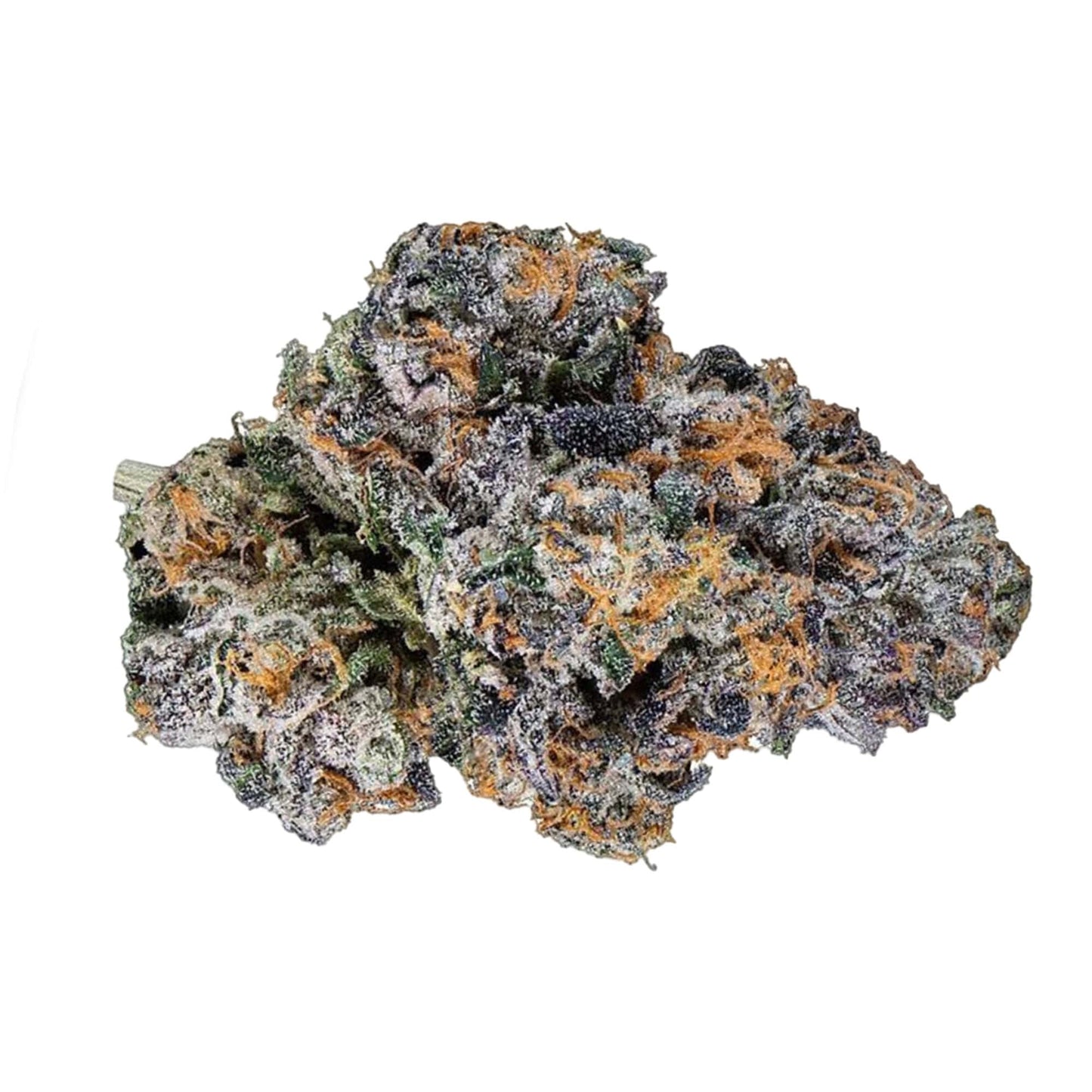 THC-A Flower | Churro Gelato: HYBRID (33.06%]
