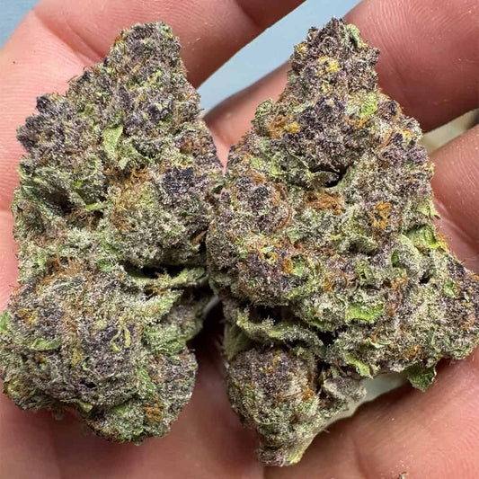 THC-A Flower | Trop Cherry: SATIVA (30.56%)
